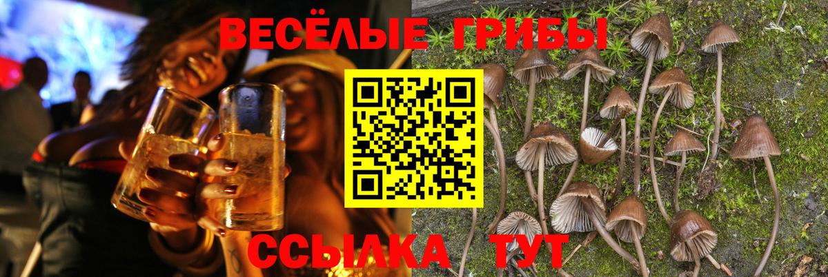 Славгород  Галлюциногенные грибы прущие грибы  закладка  Вход с VPN  Псилоцибиновые грибы Cubensis 