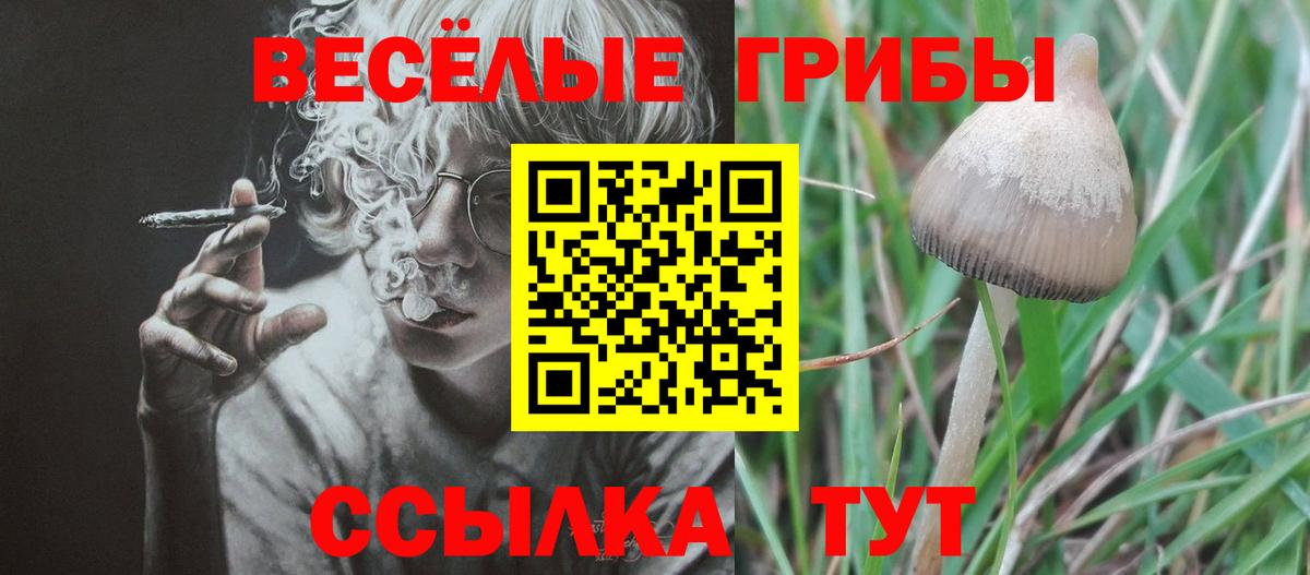 Галлюциногенные грибы GOLDEN TEACHER Славгород